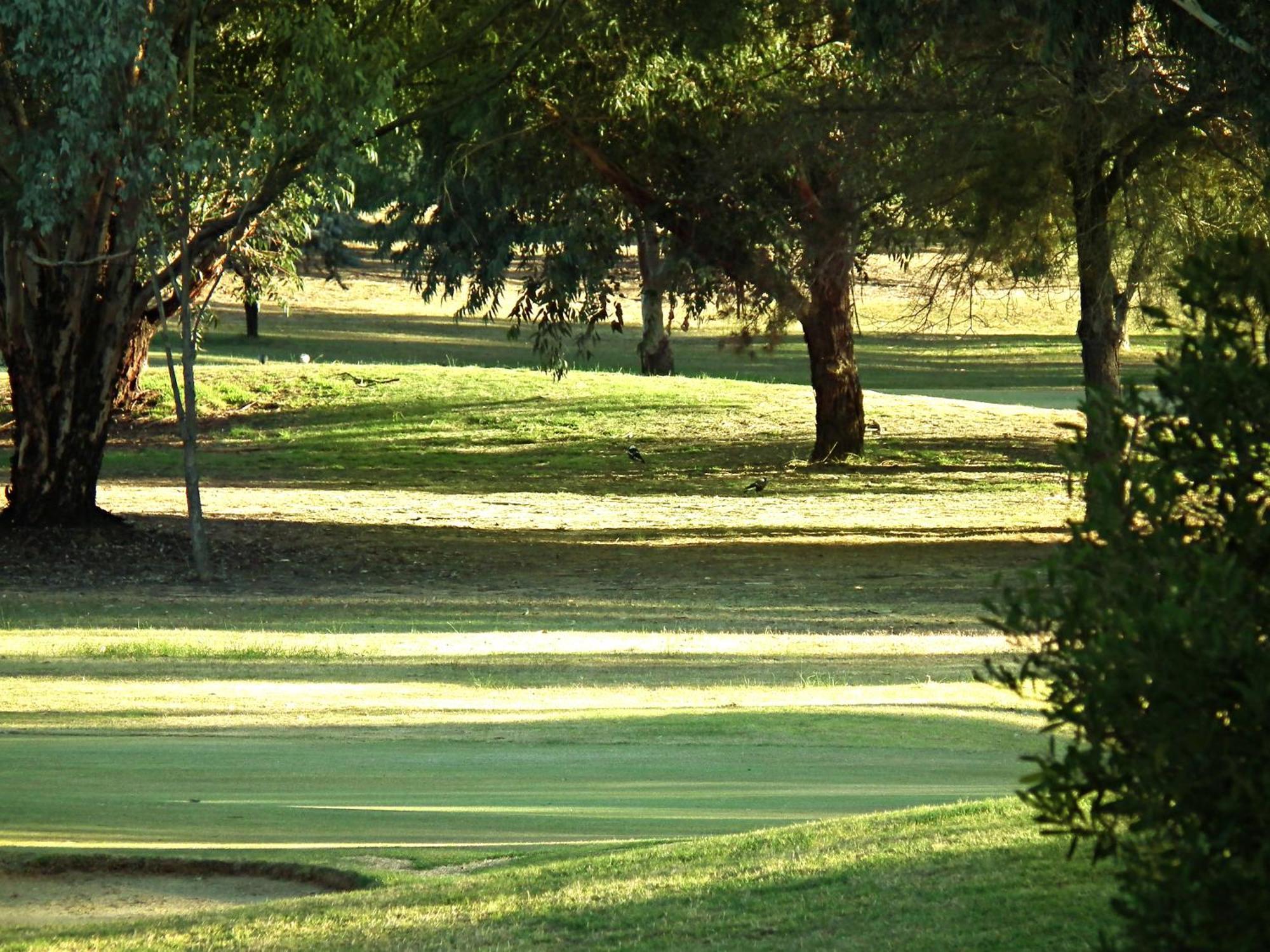 Cobram Barooga Golf Resort 객실 사진